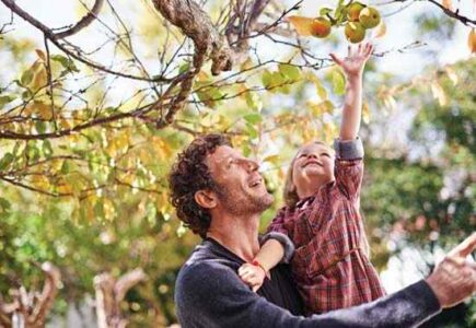 Fruit Trees 101 Image